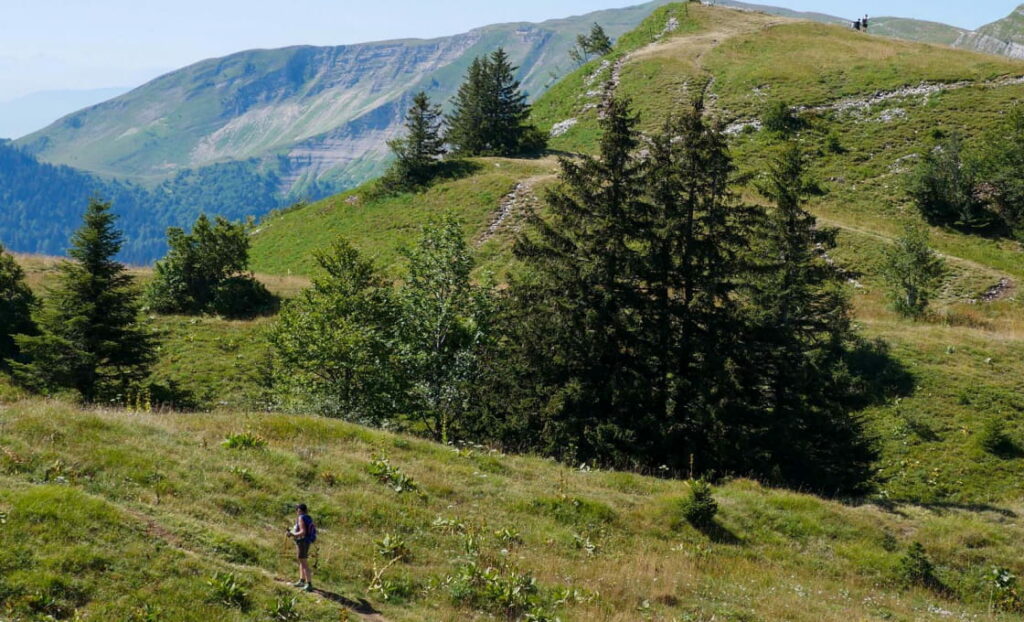 Randonnée estivale au Col de la Faucille dans le Pays de Gex, avec un randonneur sur un sentier traversant des collines verdoyantes et des montagnes en arrière-plan